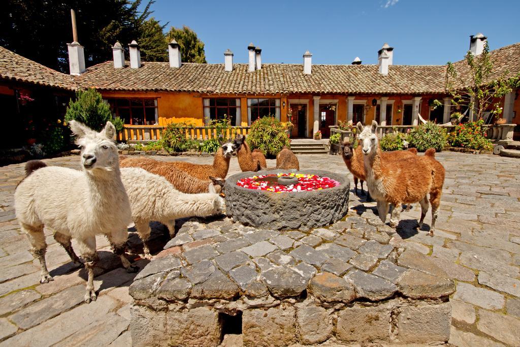 Hacienda San Agustin De Callo Ласо Экстерьер фото